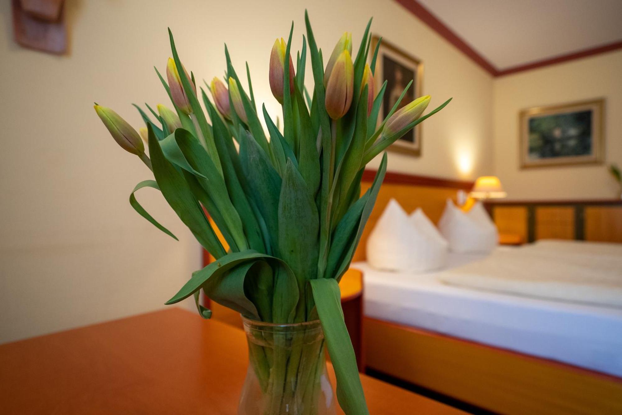 Hotel Esplanade & Aparthotel Rialto Binz Dış mekan fotoğraf